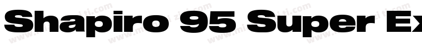 Shapiro 95 Super Extd字体转换